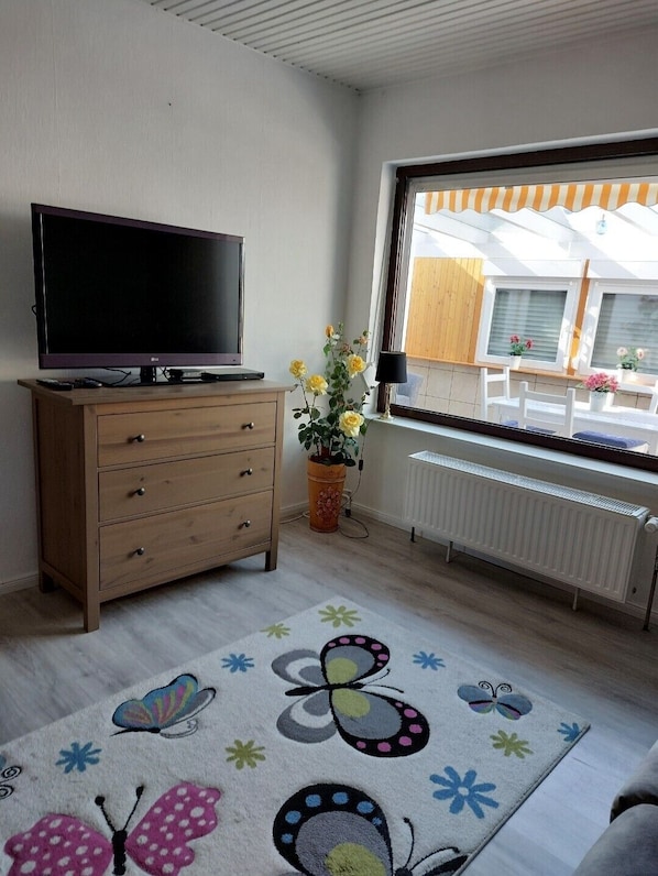 A room with a television on a wooden dresser, a radiator, a window with a view of a wooden structure, and a colorful butterfly rug.