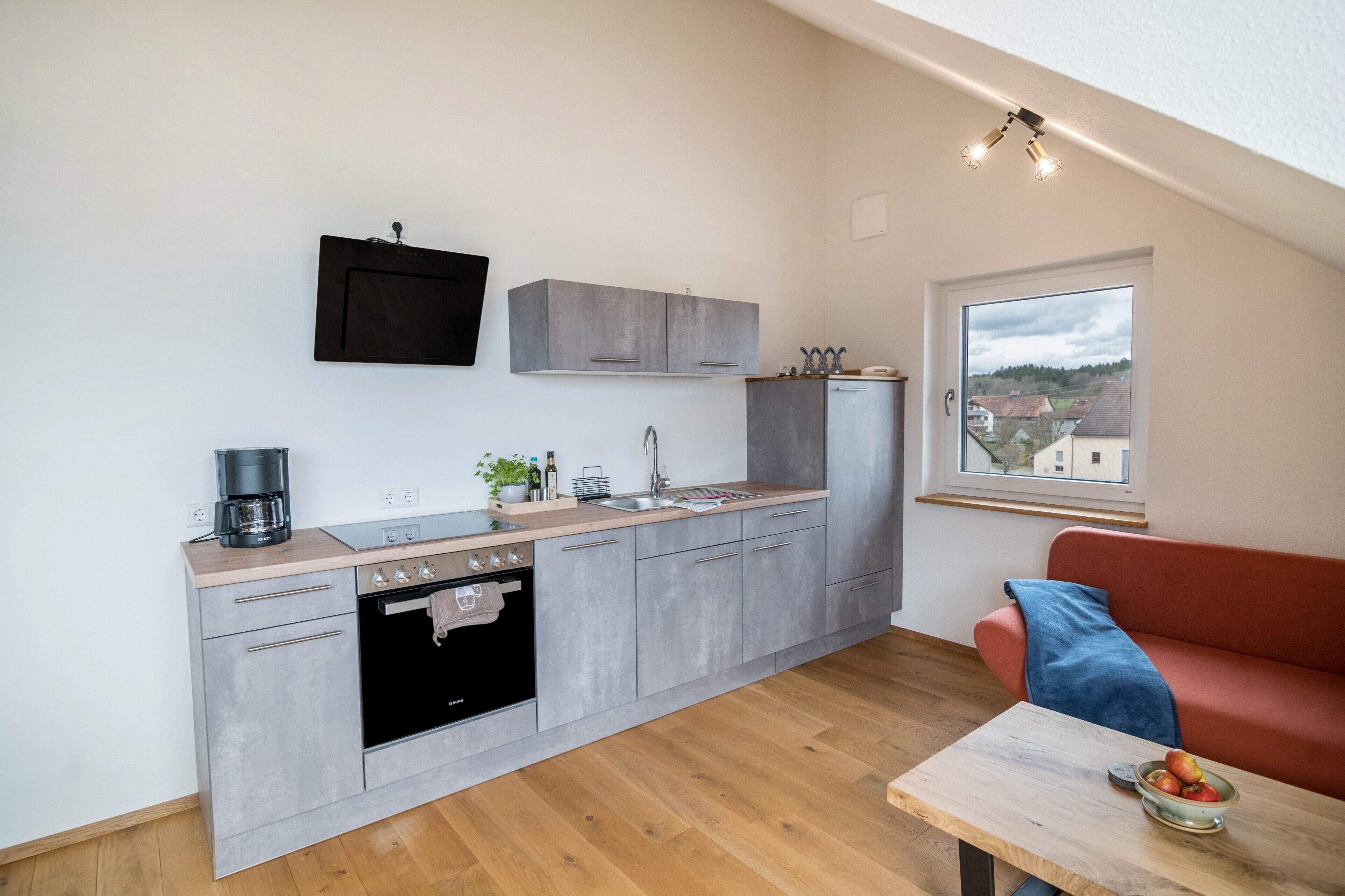 Kühlschrank, Ofen, Herdplatte, Geschirrspüler