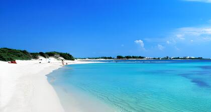 The Blue Panoramic Penthouse