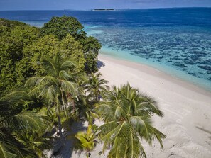 A beach with white sand and palm trees. - akomadoo retreat (Kamadhoo)