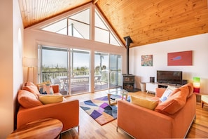 Älytelevisio, takka, DVD-soitin, kirjoja