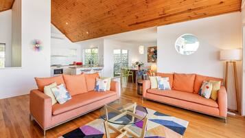 Smart TV, fireplace, DVD player, books