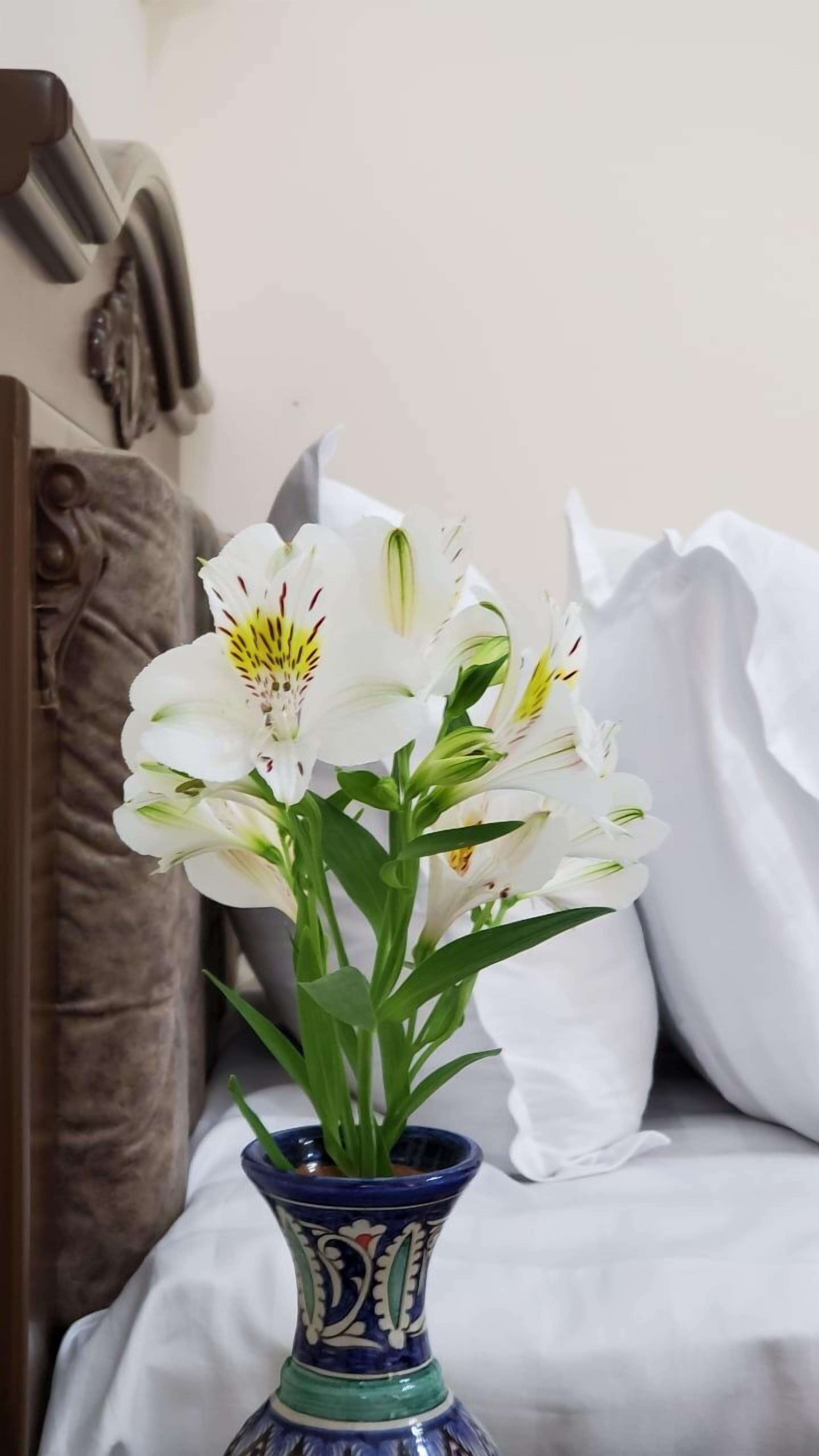 Photo - Hotel Maroqanda