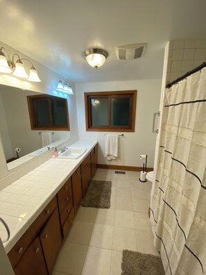 Shower, jetted tub, hair dryer, towels