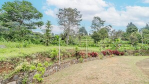 Paesaggio verde e rigoglioso con un muro di pietra e diverse piante.