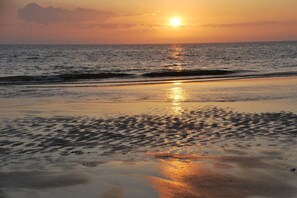 بالقرب من الشاطئ