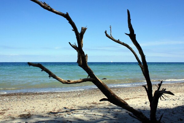 Nära stranden
