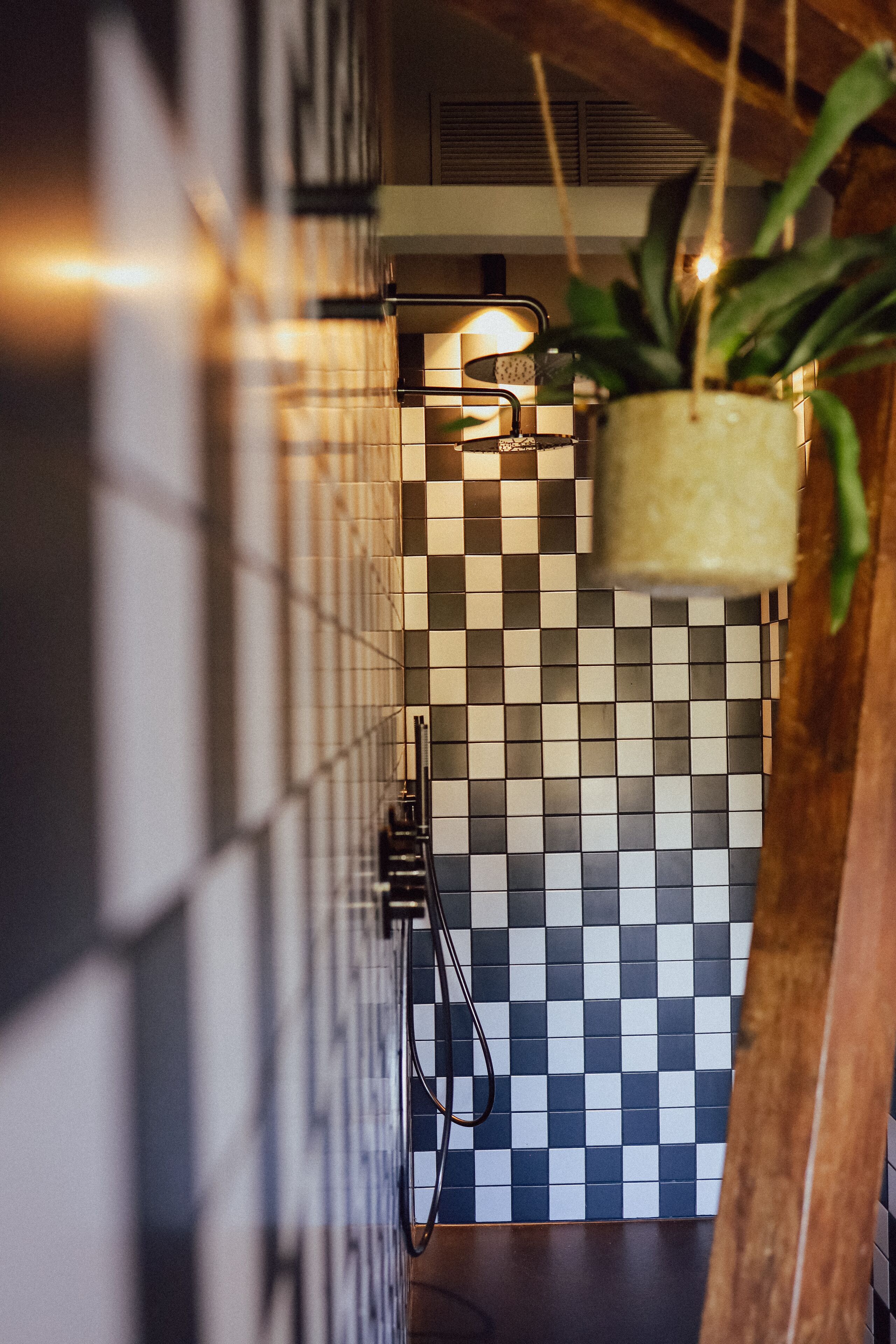 A bathroom with a checkered tile floor, a hanging plant, and a towel rack.