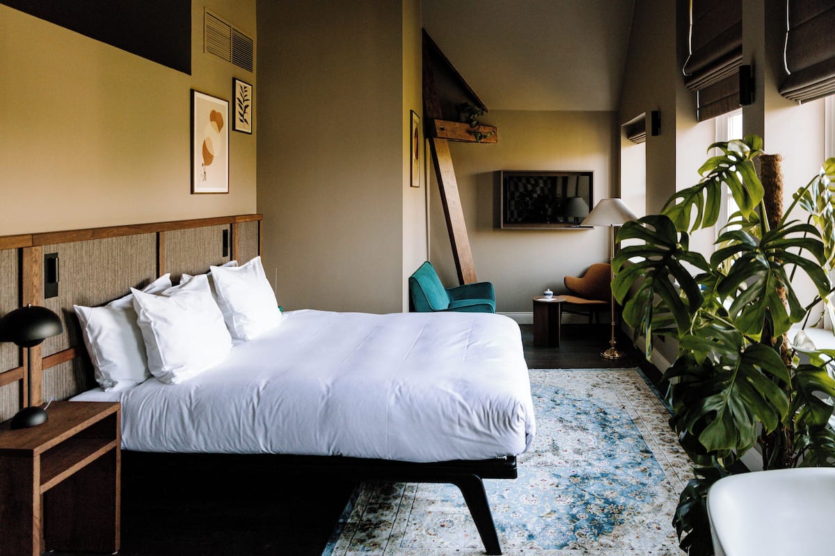 A hotel room with a large bed, a desk with a lamp, a chair, and a potted plant.