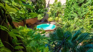 Un jardin luxuriant avec une piscine, entouré d’une végétation dense et d’arbres.