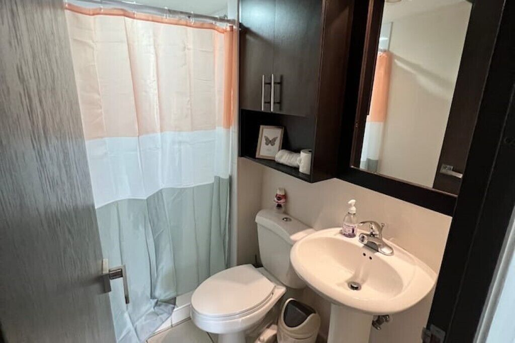 Une salle de bain avec des toilettes, un lavabo et un rideau de douche.