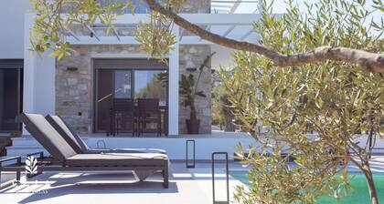 Premium Private Pool Villa, Elia Stone Villas