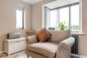 Älytelevisio, tietokoneen näyttö