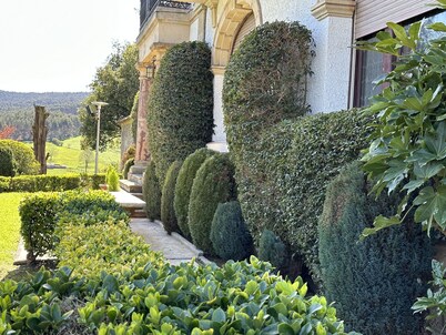 Explore Finca Espinal a retreat with pool and lush gardens. 