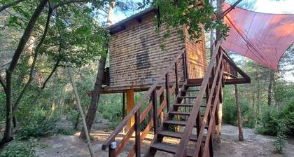 Treehouse in Ljubac