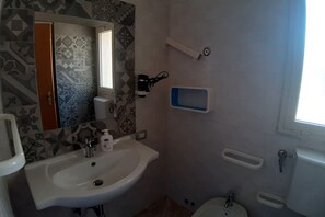 Shower, hair dryer, bidet, towels