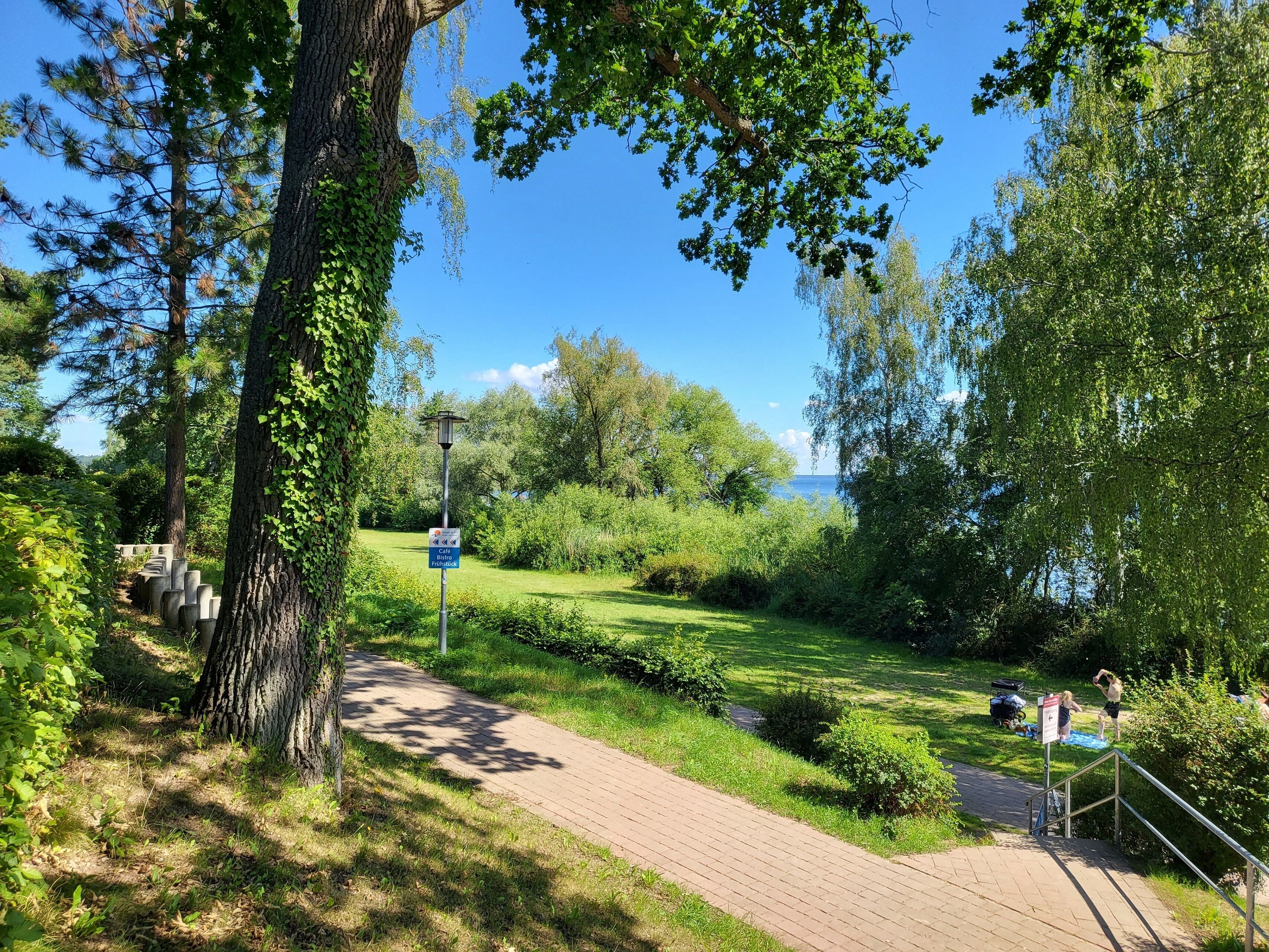 A paved pathway in a park with a cafe sign, surrounded by lush greenery and trees.