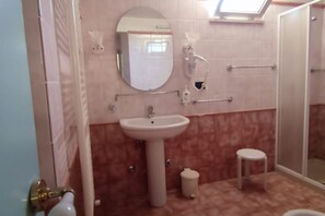 Shower, hair dryer, bidet, towels