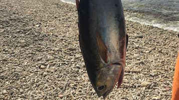 Fishing