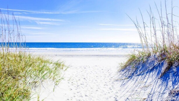 Ein Sandweg am Strand, umgeben von Gras.