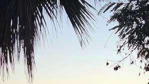 A coastal cityscape with buildings, a beach, and a sunset. - HOSTAL LUXURY NIT I DIA (Altea)