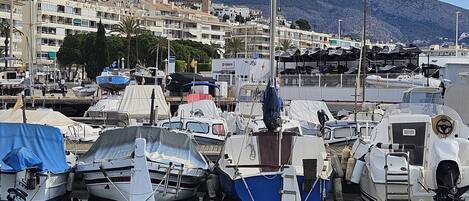 A marina with boats docked, a clear sky, and a mountainous backdrop.