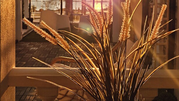 A balcony with a view of the sunset over the ocean, palm trees, and a potted plant with tall grasses. - HOSTAL LUXURY NIT I DIA (Altea)