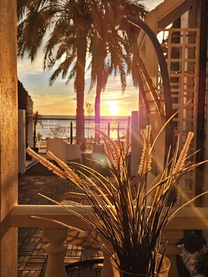A balcony with a view of the sunset over the ocean, palm trees, and a potted plant with tall grasses. - HOSTAL LUXURY NIT I DIA (Altea)