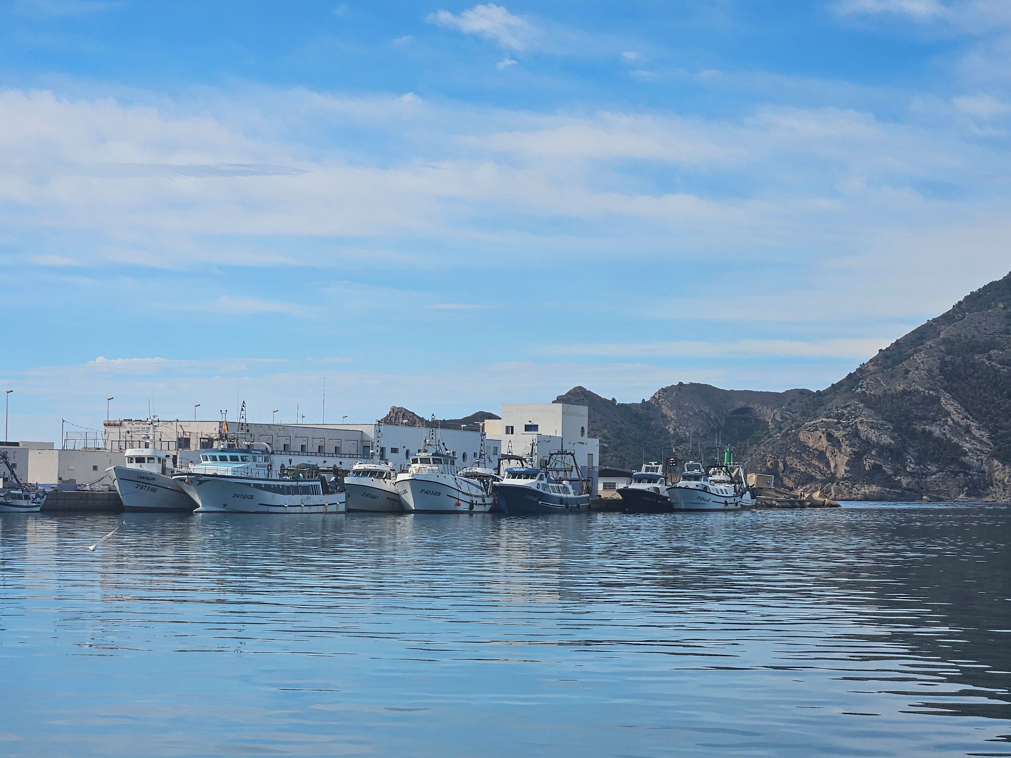 A marina with several boats docked, buildings in the background, and a hilly landscape.