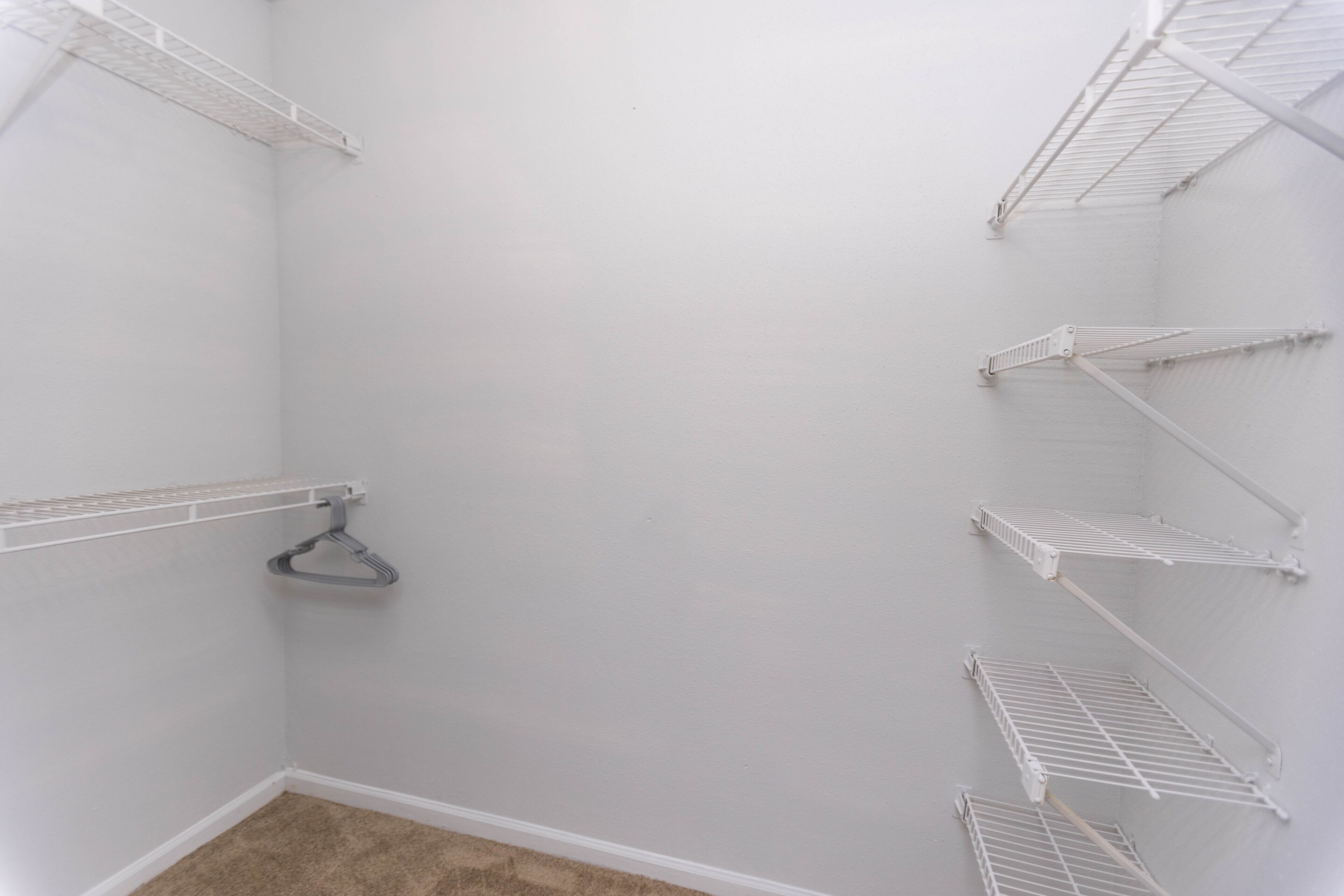 A corner of a room with white walls, a beige carpet, and white metal shelves mounted on the walls.