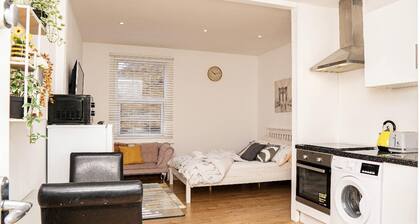 Luxury Studio Flat in London