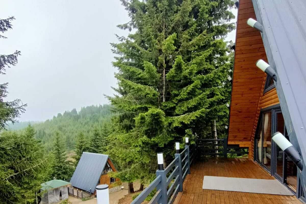 Eine Holzterrasse mit Geländer, ein großer Nadelbaum und eine kleine Holzhütte mit geneigtem Dach.