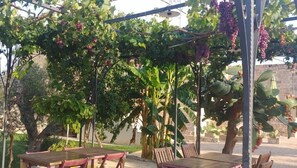 An outdoor seating area with tables and chairs under a pergola with grapevines. - MASSERIA LA MAESTA' 1511 (Sannicola)