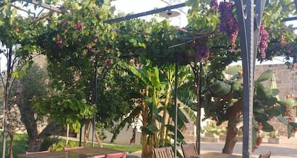 MASSERIA LA MAESTA' 1511