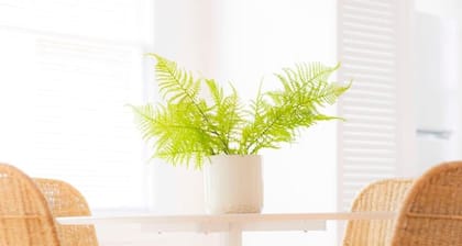 Large Groups Welcome - 2 Homes Next Door