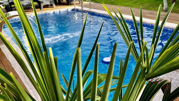 A swimming pool with clear blue water, surrounded by green plants and a wooden deck. - İnce Bungalov (Sapanca)