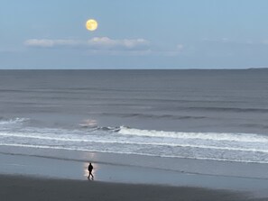 On the beach, sun-loungers, beach towels - SUNRISE IN BED~BREATHTAKING OCEAN VIEWS~COUPLES RETREAT! (Hampton)