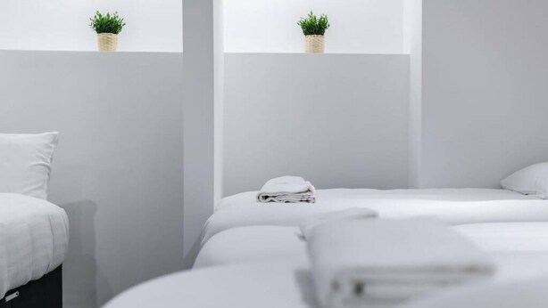 Une chambre d’hôtel avec deux lits, du linge de lit blanc et une petite plante sur le rebord de la fenêtre.