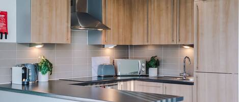 Apartment | 2 bedrooms, iron/ironing board, Internet