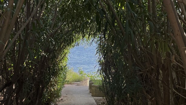 A pathway through a bamboo archway leading to a body of water. - Villa Lisa holiday home (Città del Mare-perla del Golfo)