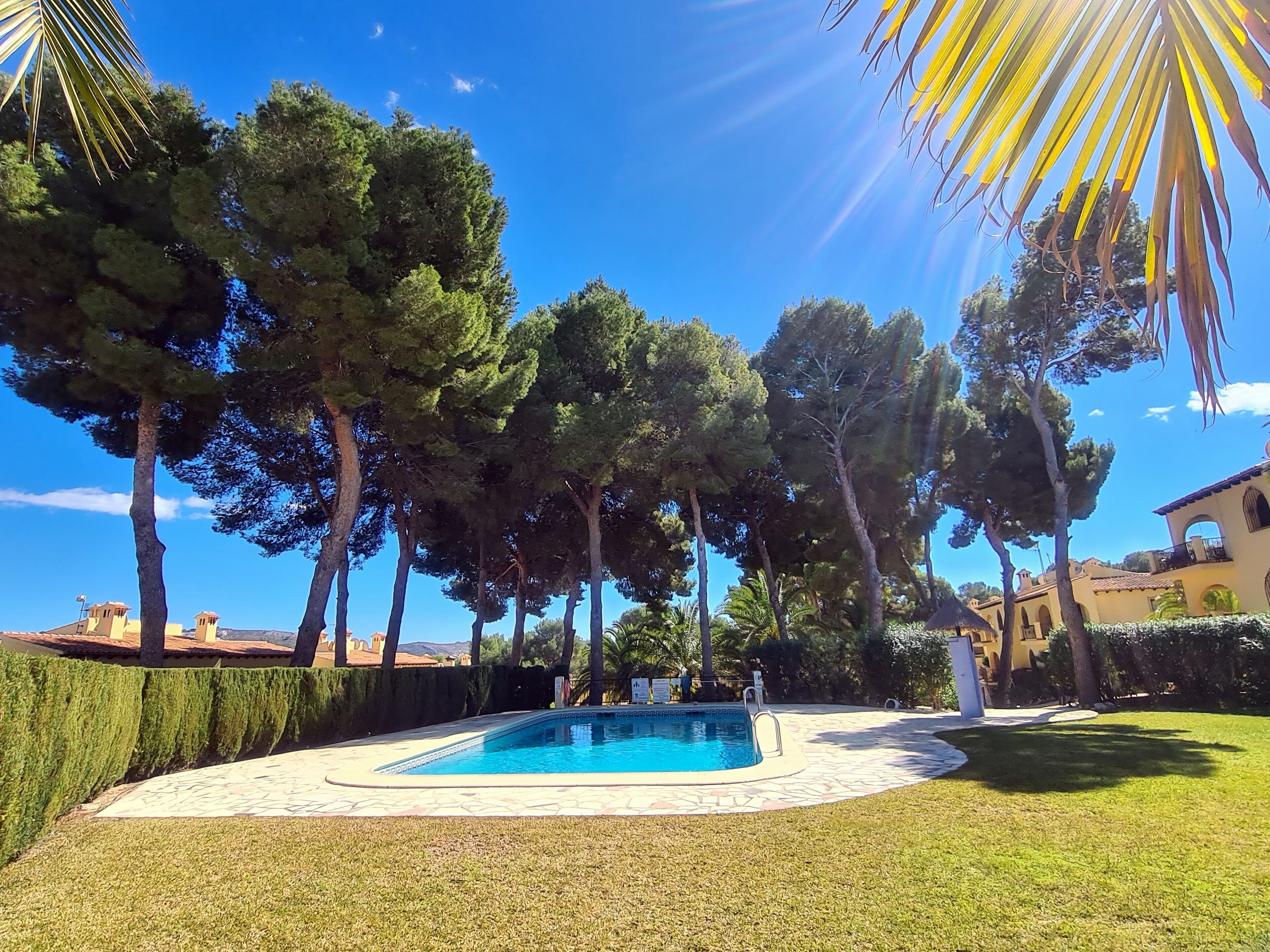 A swimming pool surrounded by well-maintained grass and trees, with a clear blue sky above.