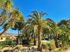 A garden with palm trees, a pool, and a view of a town in the background. - Moraira, Lovely Apartment in Beautiful Complex with Communal Pool (Moraira)