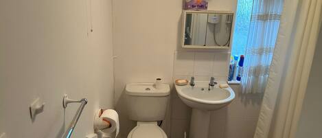 A small bathroom with a toilet, sink, and a shower area.