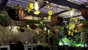 Un coin repas chaleureux avec une table et des chaises en bois, agrémenté de plantes suspendues et d’une cuisine en arrière-plan.
