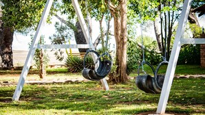 Une balançoire avec des sièges en forme de pneu, installée dans un espace herbeux bordé d’arbres.
