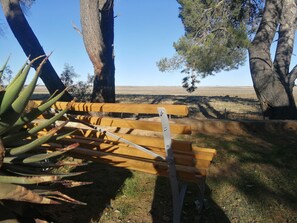 A wooden bench in a park with trees and a clear sky.