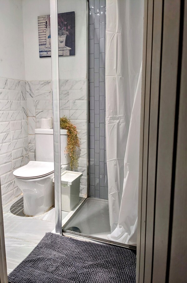 Departamento | Baño | Regadera, secadora de cabello, toallas, papel de baño