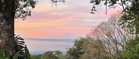 A lush green landscape with a large tree in the foreground and a view of the sky at sunset.