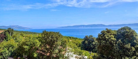 Un paysage côtier caractérisé par une végétation luxuriante et une vue sur la mer.