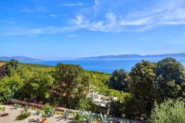 A coastal landscape with dense greenery and a view of the sea.
